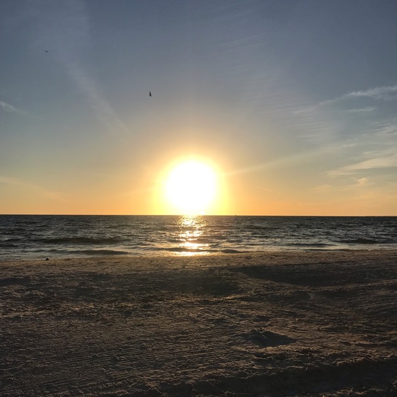 Meet your Posher, Mitzi - Picture 12 of 16